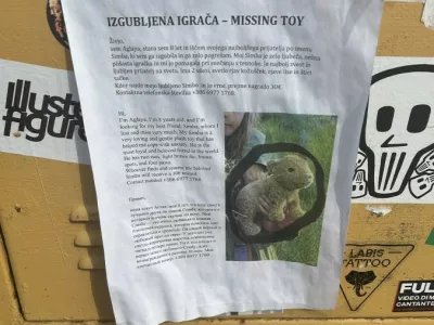 Iskanje pli&scaron;aste igrače