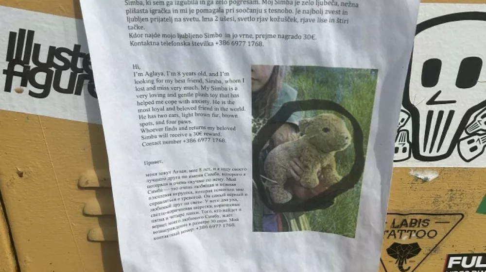 Iskanje pli&scaron;aste igrače