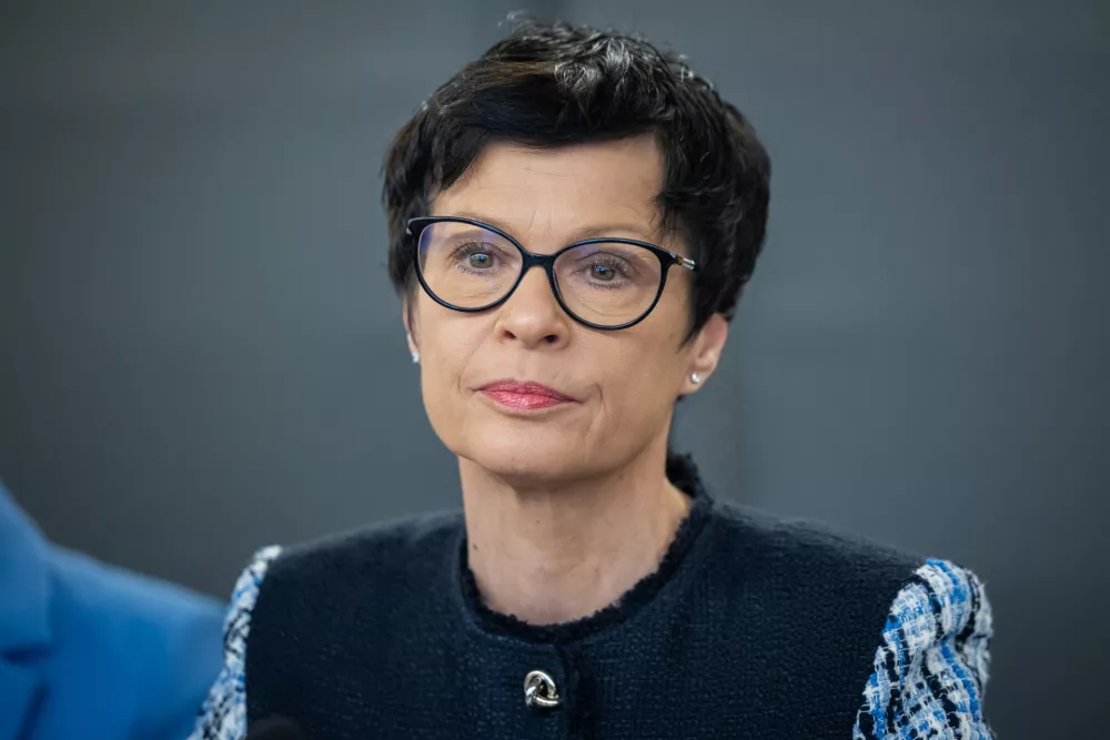 Ljubljana, DZ.Skupna seja odbora DZ za zadeve EU in odbora DZ za zunanjo politiko, na kateri je evropska komisarka za siritev Marta Kos clanom predstavila letosnji delovni program Evropske komisije.Evropska komisarka za siritev Marta Kos.