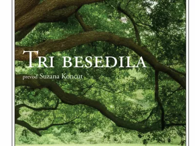 Annie ErnauxTri besedila