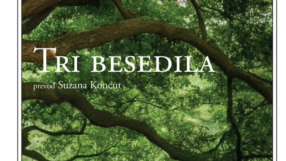 Annie ErnauxTri besedila