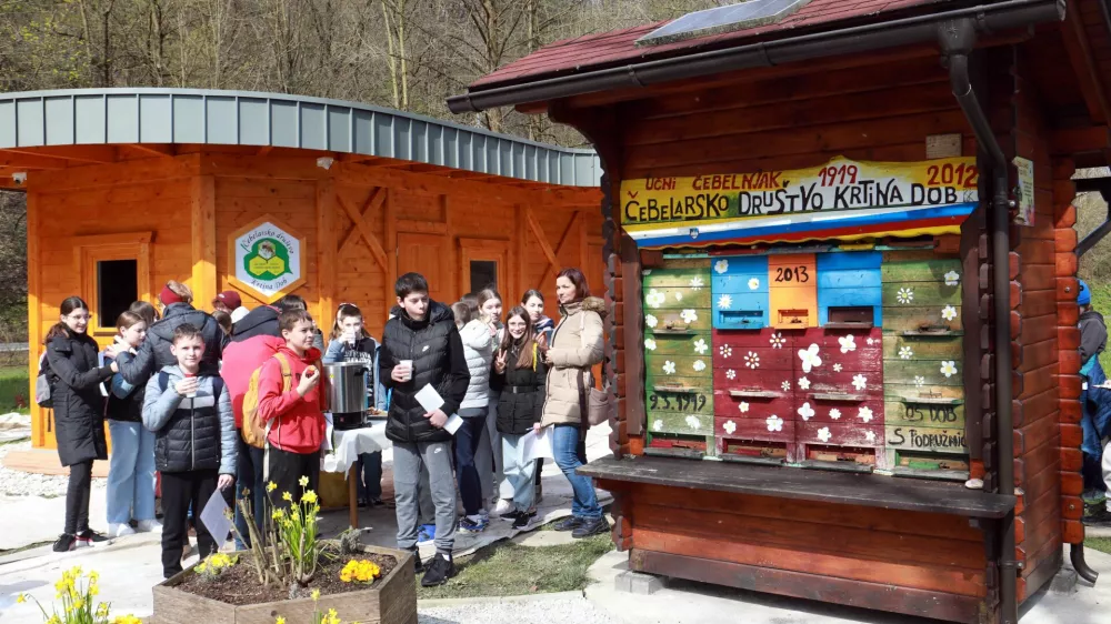 Učni čebelnjak je dru&scaron;tvo, tudi zaradi odličnih rezultatov mladih čebelarjev, od Čebelarske zveze Slovenije prejelo v dar že leta 2012. Foto: Tomaž Skale
