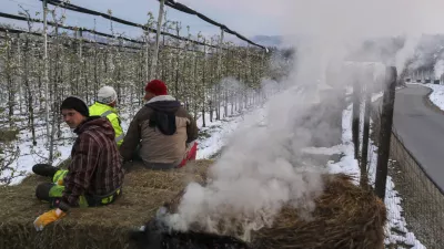 - sadovnjak Artiče - senene bale- 06.04.2021 - Spomladanska Pozeba - kurrjenje v sadovnjaku kot za&scaron;čita proti zmrzali - sadno drevje //FOTO: Jaka Gasar