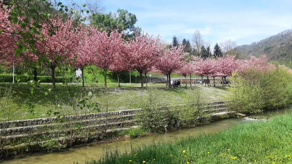 Kotički za romantike. / Foto: Roman Turn&scaron;ek