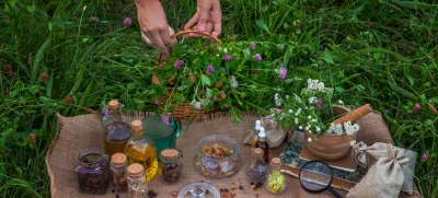A woman collects medicinal herbs. / Foto: Anna Solovei