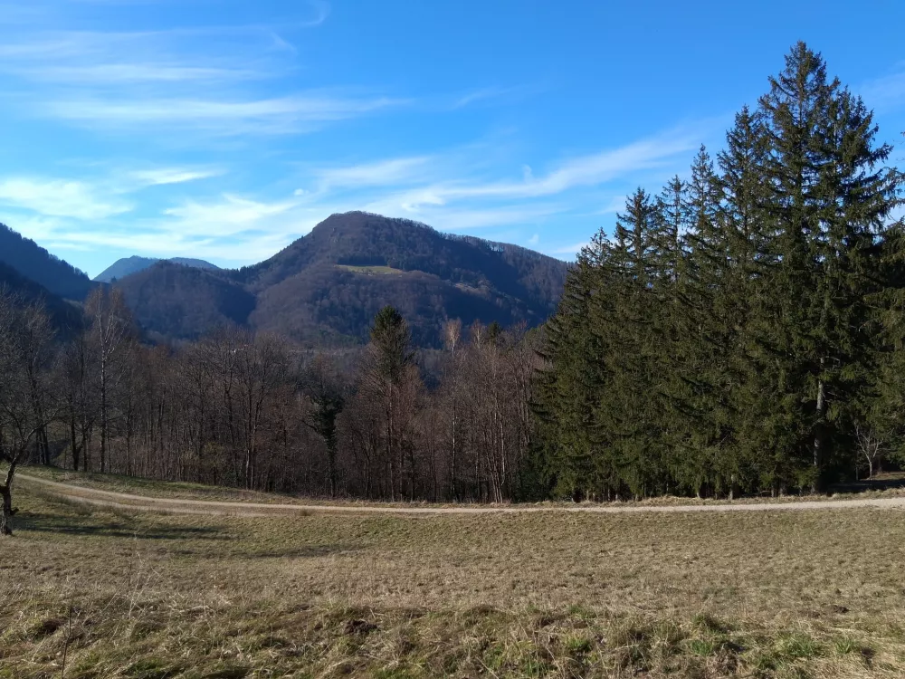 Golava, kot jo je mogoče videti s sedla med Mrzlico in Kamnikom, imenovanim tudi Veliki vrh. / Foto:&nbsp;Katja Petrovec
