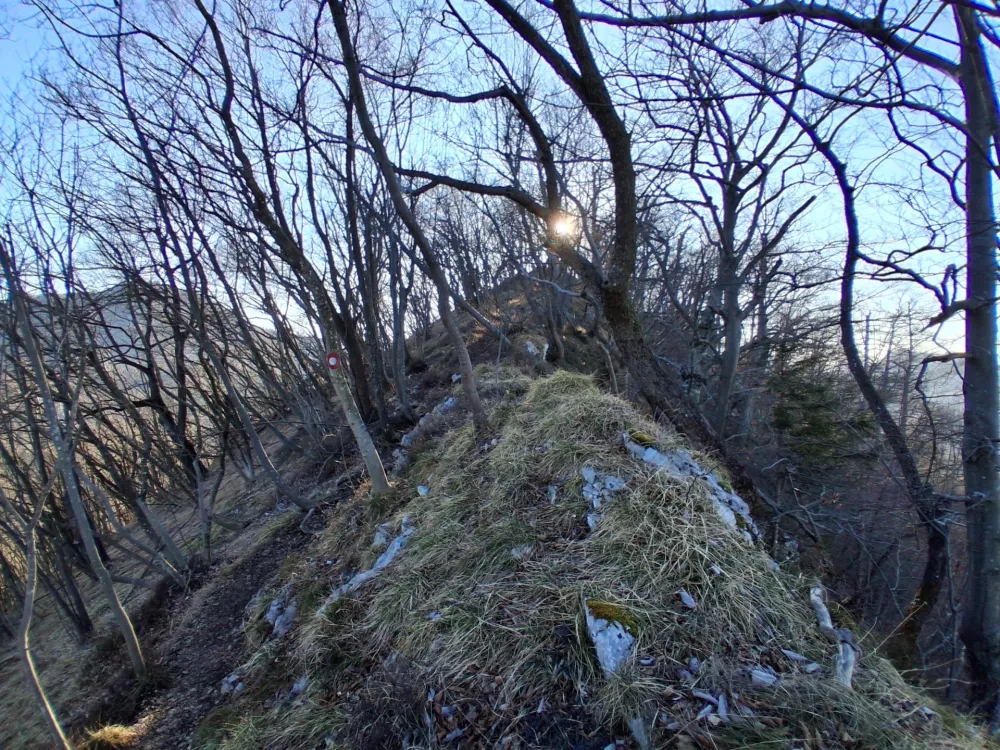 Običajna pot na Golavo poteka po grebenu, ki je proti vrhu vedno ožji. / Foto:&nbsp;Katja Petrovec