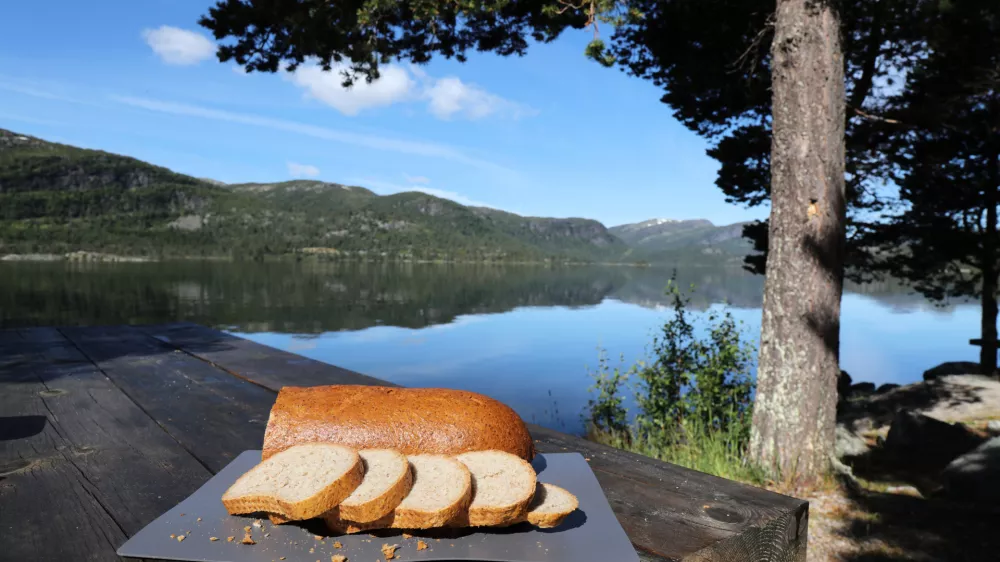 Kneipp bread in Norway (Norwegian language: kneippbrod). Most popular type of bread in Norway, made of whole wheat flour. / Foto: Tupungato