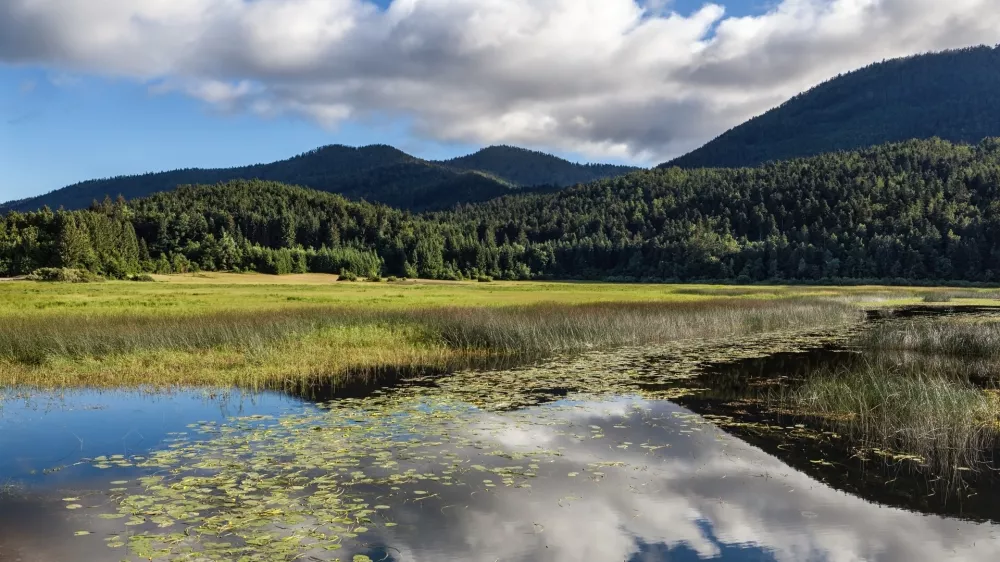 Mokrisce - cerkni&scaron;ko jezero