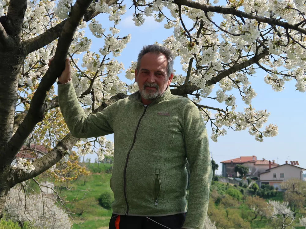 Aleksij Mavrič, sadjar, Kojsko v Gori&scaron;kih Brdih / Foto: Nata&scaron;a Bucik Ozebek