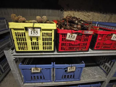 - Kostnica- 04.03.2013 - prikrito grobiče Barbara rov v pemogovniku Huda jama pri Lakem -- ogled Hude jame ob četrti obletnici vstopa raziskovalcev v rov sv. Barbare //FOTO: Luka Cjuha