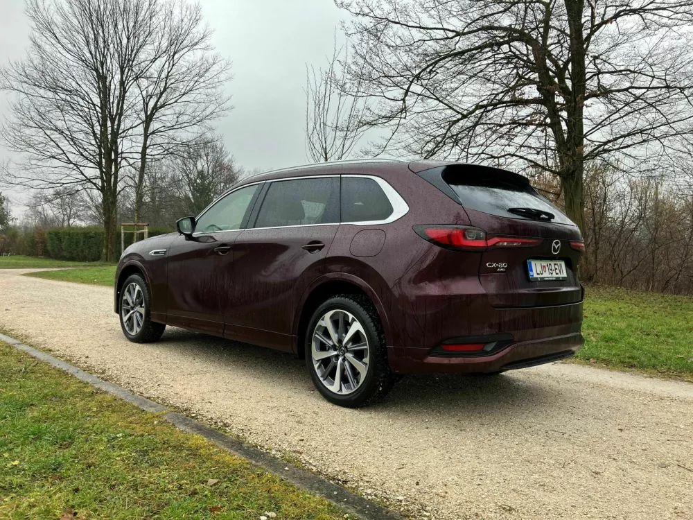 Prostornost je pisana z veliko začetnico tudi na vzdolžno pomični zadnji klop. Dostop do &scaron;estega in sedmega sedeža je vse prej kot enostaven.