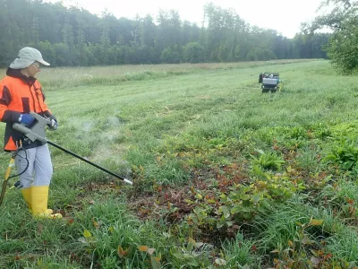 Invazivne rastline trebijo tudi z električnim tokom, ki uniči dolge podzemne korenine. Foto: Tina Porenta (KPLB)