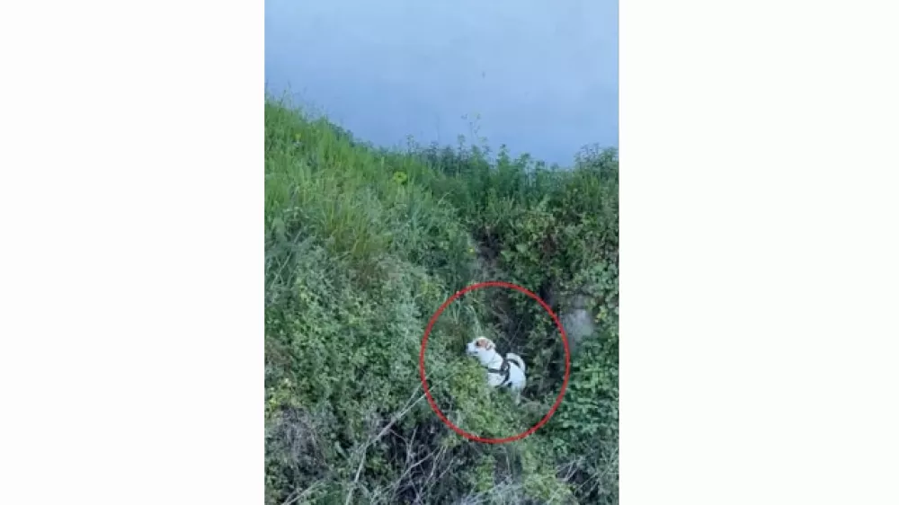 Zaključek uspe&scaron;ne re&scaron;evalne akcije. Foto: Toni Male&scaron;, zajem zaslona