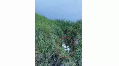 Zaključek uspe&scaron;ne re&scaron;evalne akcije. Foto: Toni Male&scaron;, zajem zaslona