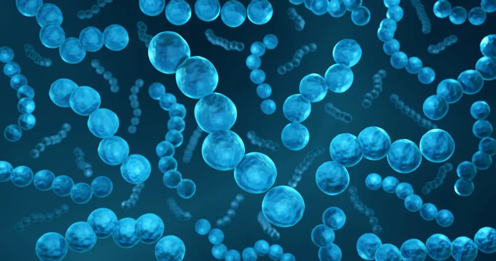 3D-ilustracija probiotika Streptococcus bacteria / Foto: Istock