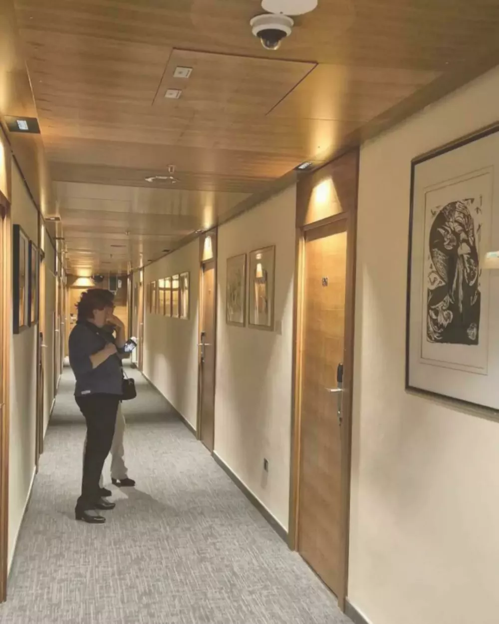 Razstava Hitove zbirke grafik primorskih likovnih umetnikov v novogori&scaron;kem Hotelu Park F arhiv GO!2025