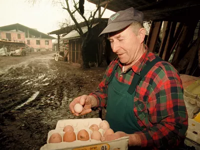 Stane Kermavner, jajca kmet