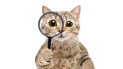 Ali nemara i&scaron;če svoji prijateljici? Pomagajte ji torej tudi vi. / Foto: Istock