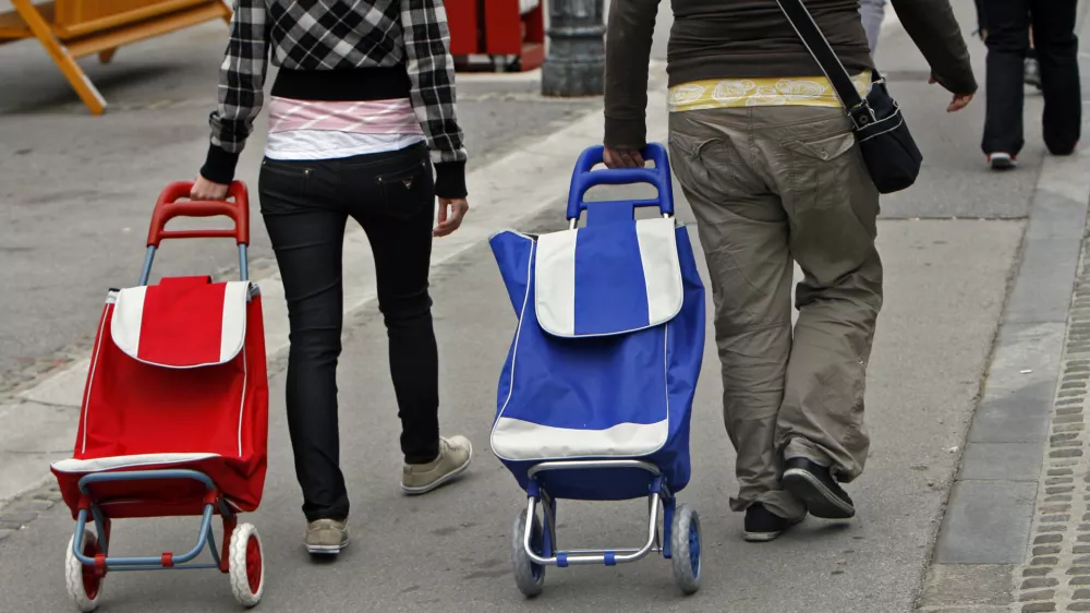 - ilustrativna fotografija 2013 - nakupovalni voziček - nakupovanje - potro&scaron;nik - //FOTO: Tomaž Skale