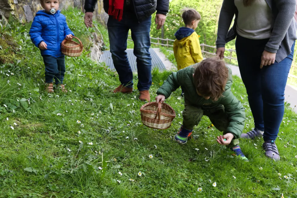 19.04.2025. Lov na pirhe na Ljubljanskem gradu, prireditev za otroke. Foto: Bojan Velikonja 