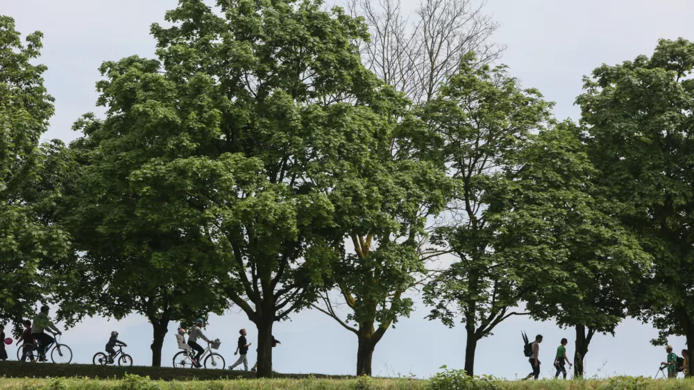 - 05.05.2018 &ndash; Zadnji dan pohoda Pot ob žici bodo 35-kilometrsko traso okoli Ljubljane napolnili pohodniki in tekači. Izbirali bodo lahko med kraj&scaron;imi rekreativnimi pohodi, pohodom na 35 kilometrov ter tekom trojk na 12,5 oziroma 29 kilometrov.//FOTO: Luka Cjuha.