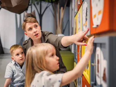 Slika je simbolična. / Foto: Istock