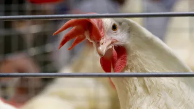 Slika je simbolična. / Foto: Istock