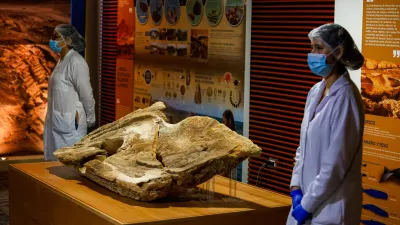 Dragocena najdba iz Peruja. Foto: Reuters