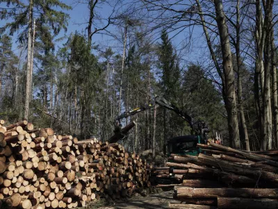 Če je po eni strani veliko govora o skoraj obvezni gospodarski rasti, ko pride recesija, pa nastane cela drama, na drugi strani ne moremo govoriti, da bomo imeli manj izpustov, je pojasnil vodja oddelka za prirastoslovje in gojenje gozdov na Gozdarskem in&scaron;titutu Slovenije Tom Levanič. Foto: Luka Cjuha&nbsp;