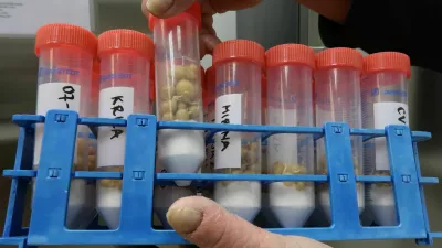 Semenska banka krompirja, žlahtnenje krompirja, Kmetijski in&scaron;titut Slovenije, Beti Komotar, vodja semenske banke