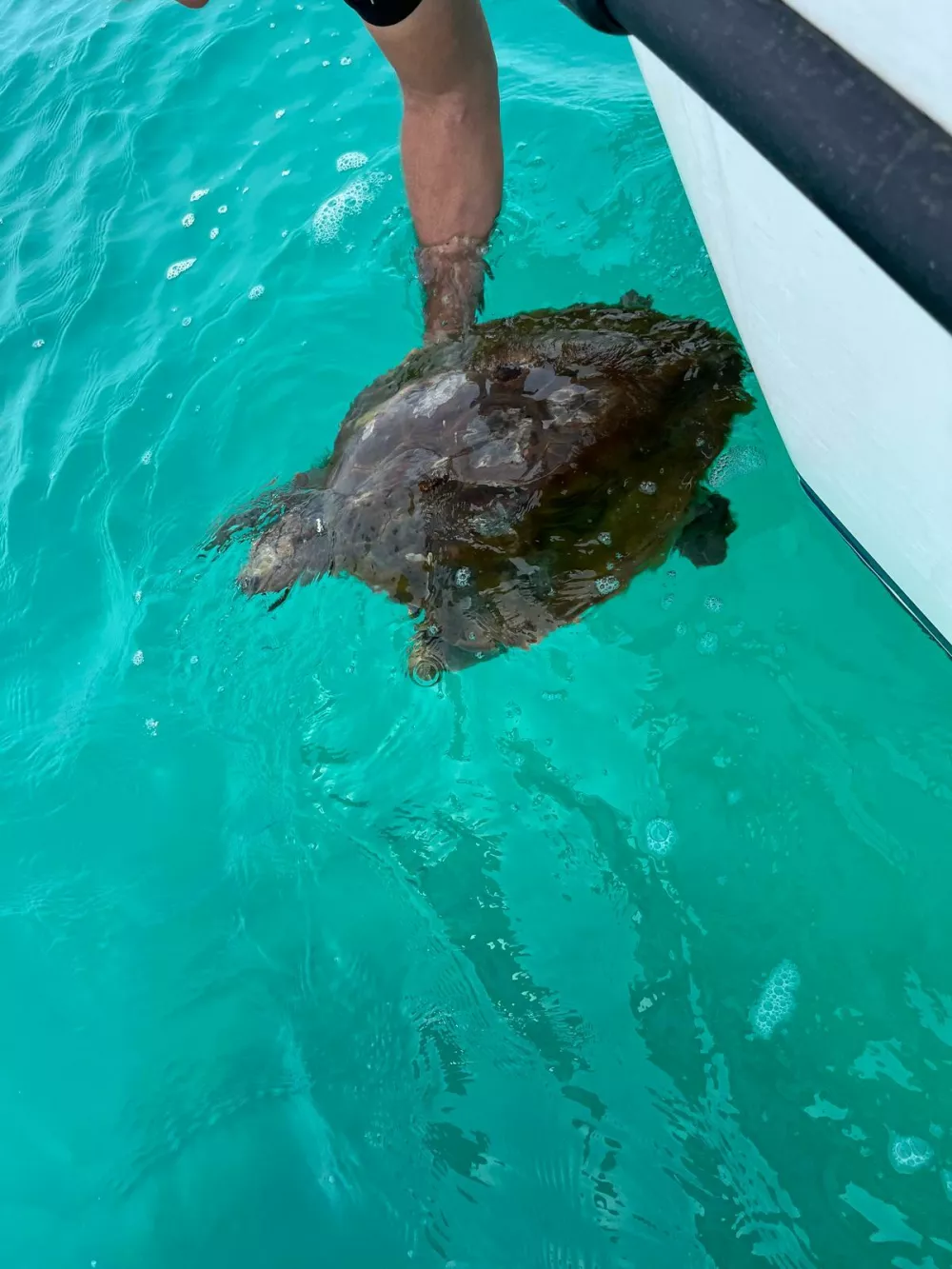 Foto: družina Poličnik/Aquarium Pula