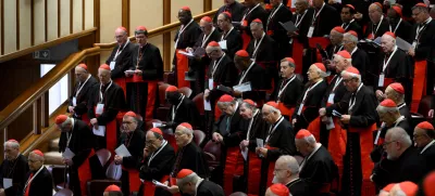 Cardinals participate in a general congregation meeting at the Vatican, April 28, 2025. Mario Tomassetti/Vatican Media/­Handout via REUTERS ATTENTION EDITORS - THIS IMAGE WAS PROVIDED BY A THIRD PARTY. REFILE - REMOVING "ITALY".