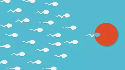 Slika je ilustrativna. / Foto: Istock