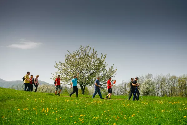 Tradicionalni pohod na Javorovico.- Praznik dela - 1.maj 2013 - Javorovica - &Scaron;entjernej - slovesnost v počastitev praznika dela, dneva upora proti okupatorju, obletnice vstopa Slovenije v EU ter spomina na padle borce 4. bataljona Cankarjeve brigade//FOTO: Bojan Velikonja