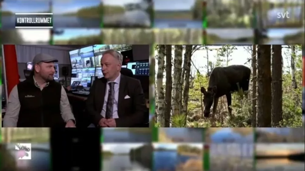 Sedma izdaja Den stora &auml;lgvandringen (Velika selitev losov), &Scaron;vedska javna televizija SVT