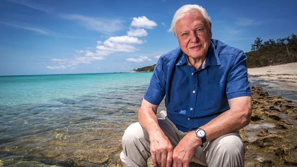 sir david attenborough, bbc