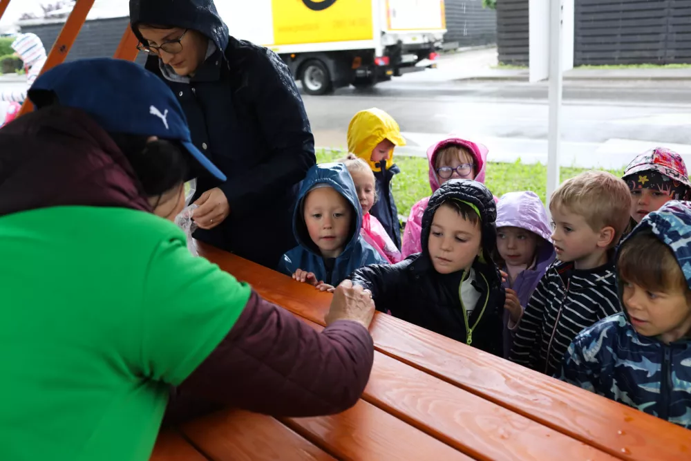 08.05.2025. pohod za vtce na Poti ob žici. Foto:Bojan Velikonja 