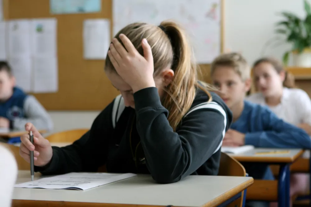 Učenci bodo lahko do ovrednotenih preizkusov znanja dostopali s svojo &scaron;ifro in &scaron;tevilko EM&Scaron;O. Fotografija je simbolična. Foto: Tomaž Skale&nbsp;
