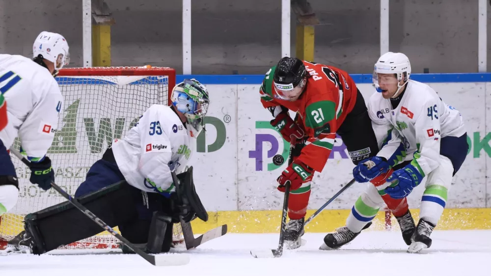 Luka&scaron; Horak, Slovenija 