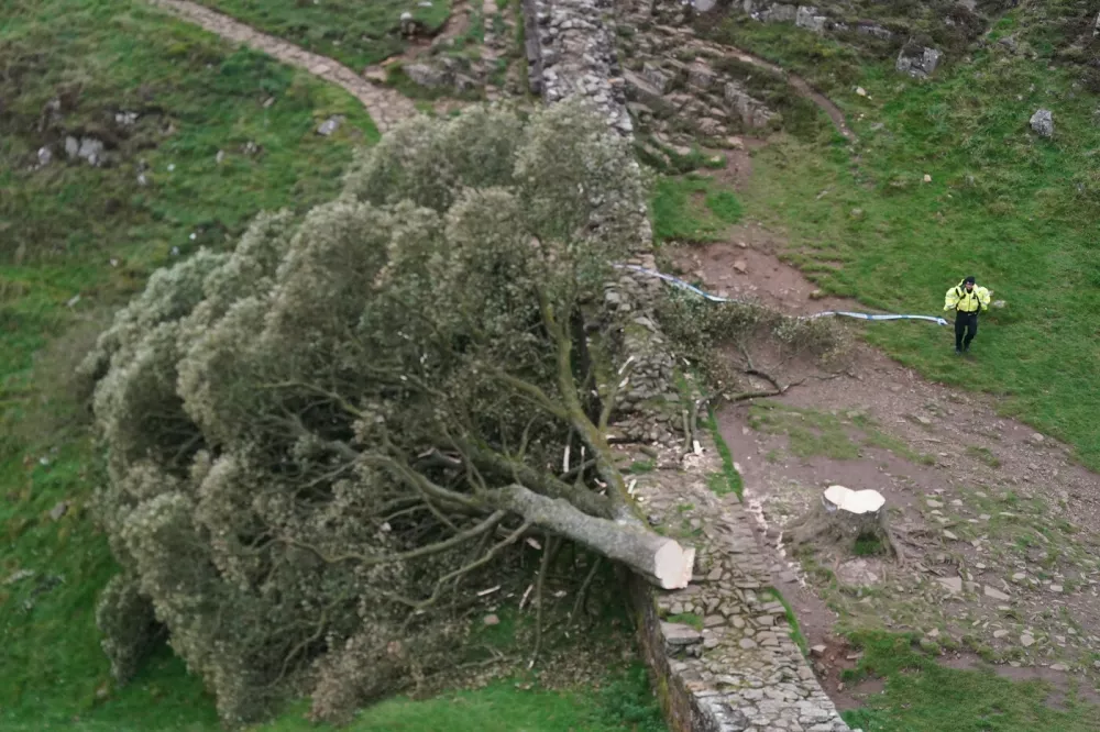 File photo dated 28/09/23 of people look at the tree at Sycamore Gap, next to Hadrian's Wall, in Northumberland which has come down overnight after being "deliberately felled". Daniel Graham, 39, and Adam Carruthers, 32, have been found guilty at Newcastle Crown Court of cutting down the Sycamore Gap tree in Northumberland. Issue date: Friday May 9, 2025.,Image: 997017225, License: Rights-managed, Restrictions: FILE PHOTO, Model Release: noFoto: Profimedia