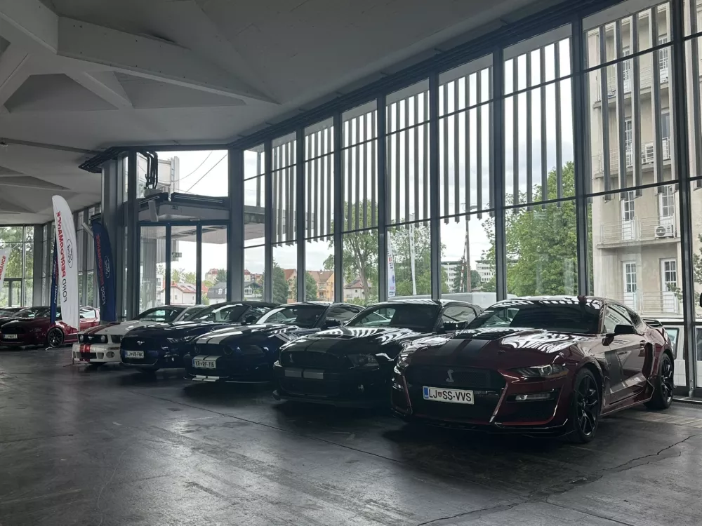 Serija atraktivnih fordov mustangov. / Foto: Matjaž Terzič