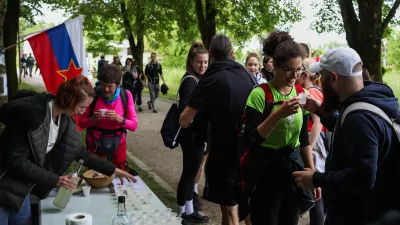 - 10.05.2025. Pot ob žici. Foto: Bojan Velikonja 