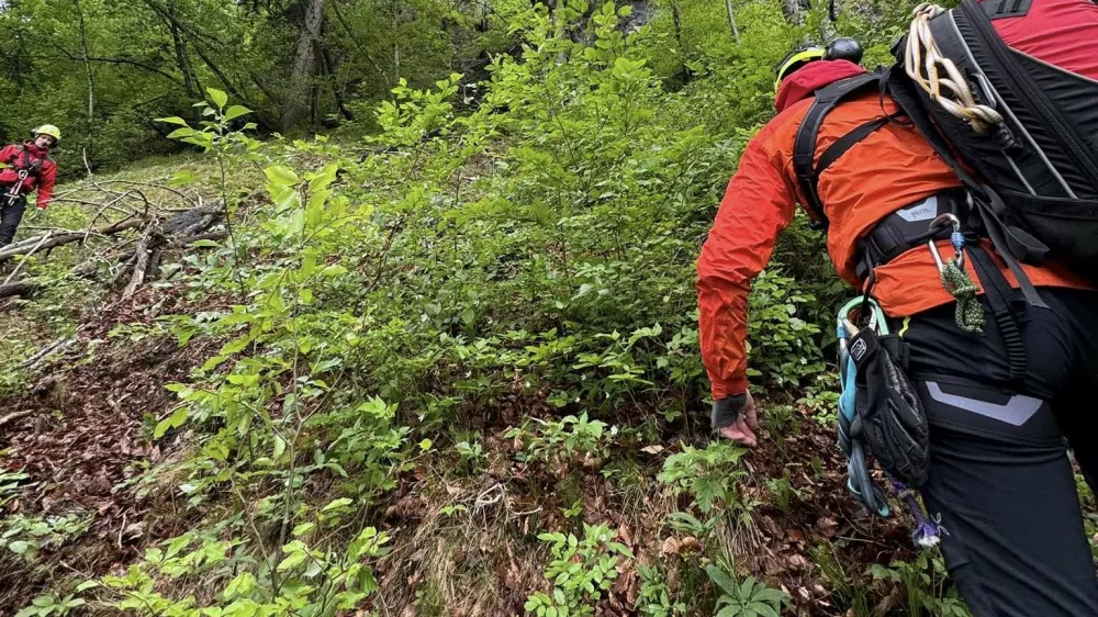 gorska nesreča mala osojnica