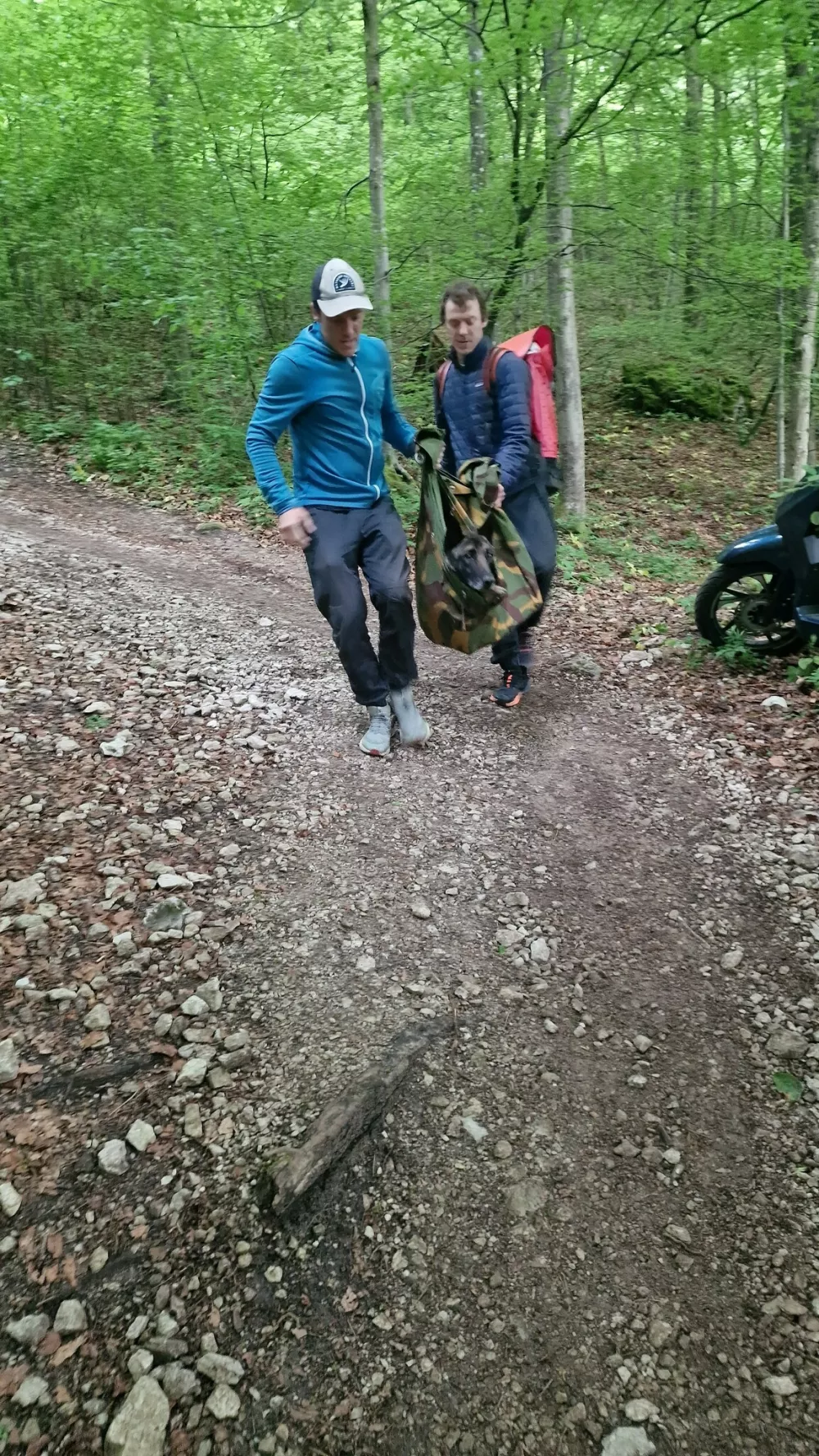 Lairyja so naložili v &scaron;otorsko krilo in odpeljali na ljubljansko kliniko za male živali. Foto: K9 iskanje pogre&scaron;anih