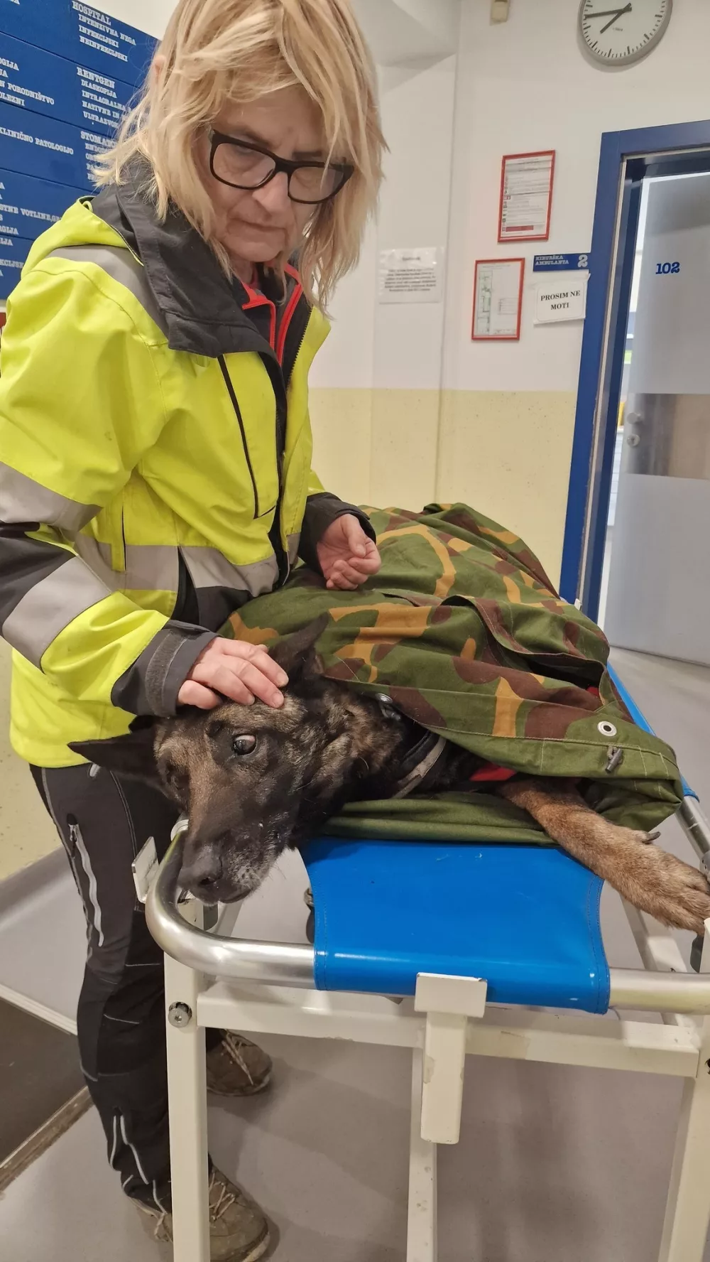 Lairyja so sprejeli na ljubljanski kliniki za male živali. Foto: K9 iskanje pogre&scaron;anih