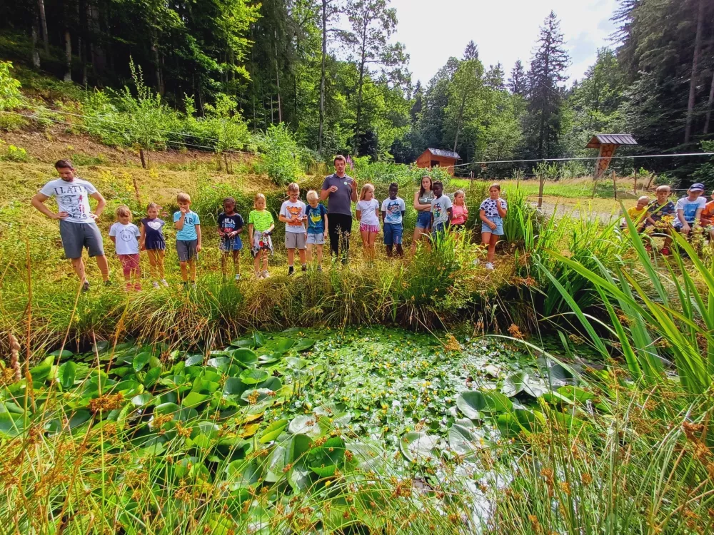 Tudi letos bodo otroci lahko med drugim uživali na ekolo&scaron;ki učni kmetiji Kr&scaron;inar. Foto: Tina Jereb