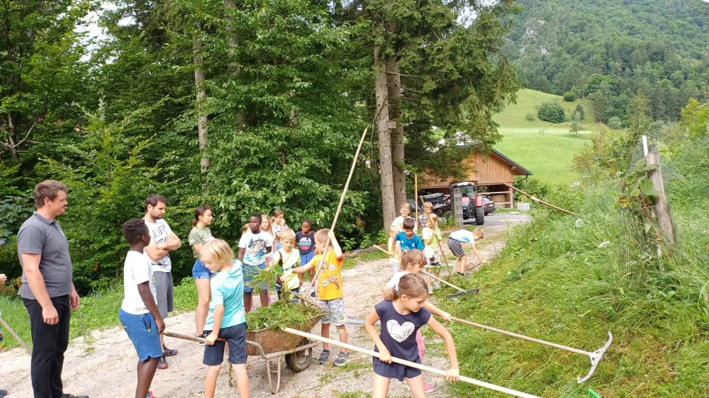 Zaradi velikega zanimanja so letos &scaron;e raz&scaron;irili programe poletnega počitni&scaron;kega varstva za otroke. Foto: Tina Jereb