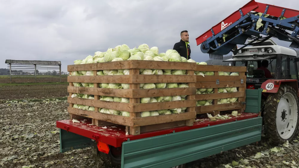 Po ocenah mnogih so k prodaji izdelkov pod nabavnimi cenami v veliki meri pripomogli razvpiti popisi cen hrane v državi. Fotografija je simbolična. Foto: Jaka Gasar