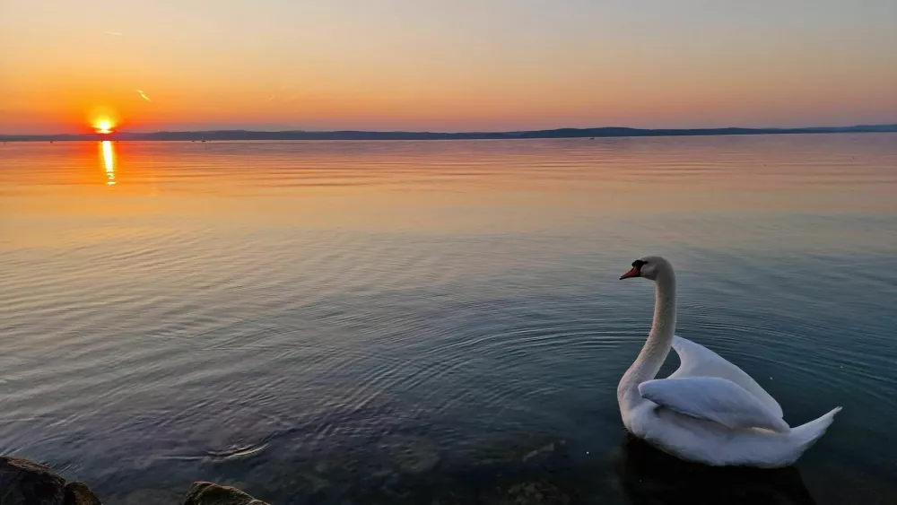 Madžarska, Siofok, obala Blatnega jezera